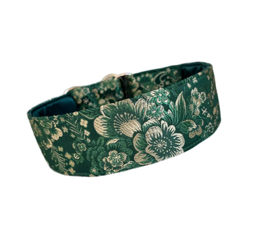 Collar F-22